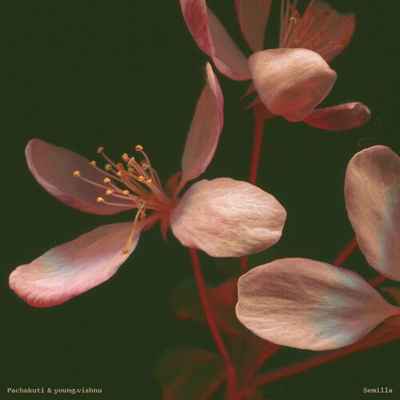 Semilla - Pachakuti Young.Vishnu LP