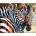SunsOut - Puzzle Stained Glass Zebras - 1 000 piese