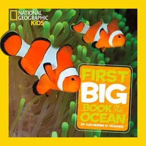 Little Kids First Big Book of The Ocean (2013)