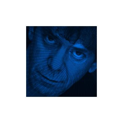 REED, LOU - RSD - SET THE TWILIGHT REELING LP