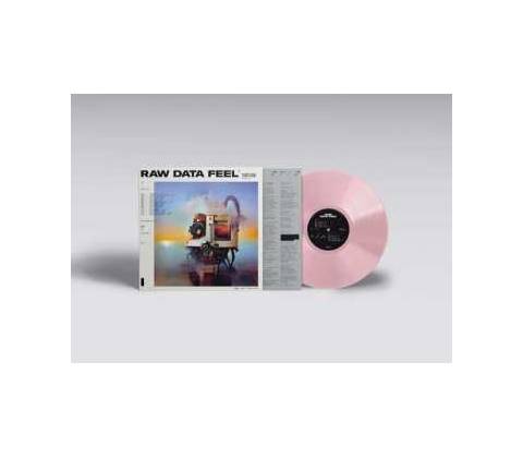 Everything Everything - Raw Data Feel Pi LP