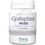 Protexin Cystophan капсули 30 бр
