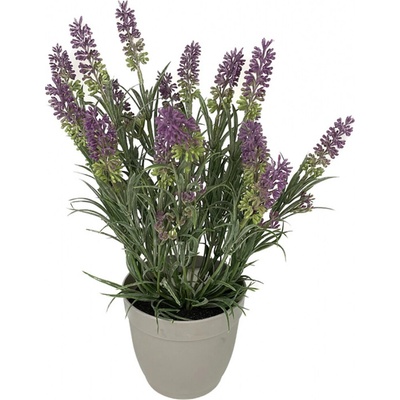 Nohel Garden Květina LEVANDULE v květníku 37cm