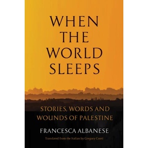 When the World Sleeps | Gregory Conti (ISBN: 9781635426038)