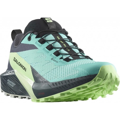 Salomon Sense Ride 5 Gore-Tex modrá/zelená – Zboží Dáma