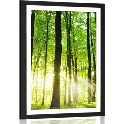 Plakát s paspartou svěží zelený les - 60x90 white