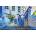 Ravensburger - Puzzle Colourful Morocco - 3 000 piese