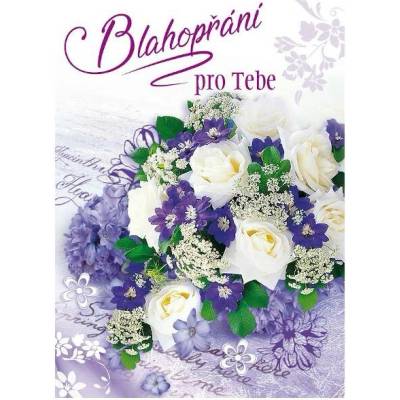 Pohlednice BLAHOPŘÁNÍ PRO TEBE (P395-03)