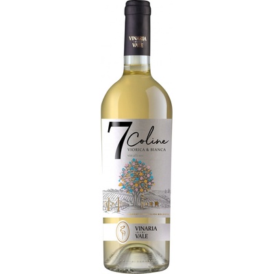 Vinaria Din Vale Viorica a Bianca Suché bílé 2023 12,79% 0,75 l (holá láhev)