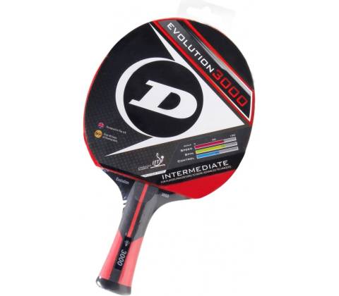 Dunlop Evolution 3000