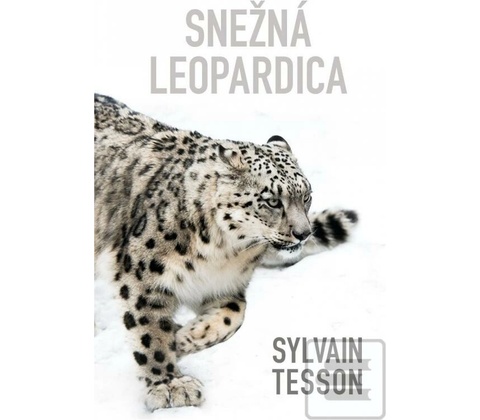 Snežná leopardica