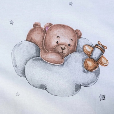 Jerry Fabrics povlečení do postýlky Medvídek plane baby 100 x 135 cm 40 x 60 cm – Zboží Dáma