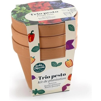 Radis et Capucine Песто - трио саксии теракота (pf142098)