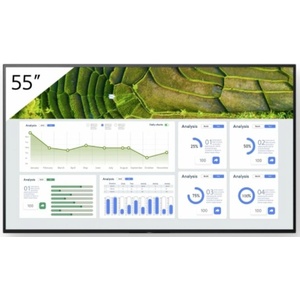 Sony Bravia FW-55BZ30L