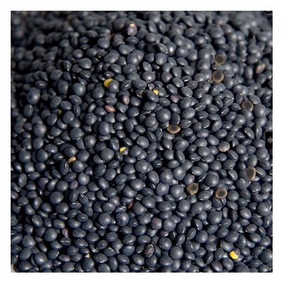 Bosfood Čočka černá Beluga Kanada 1 kg