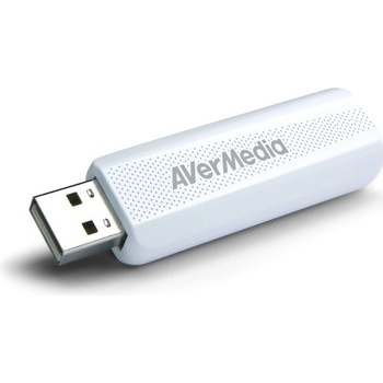 AverMedia TD310