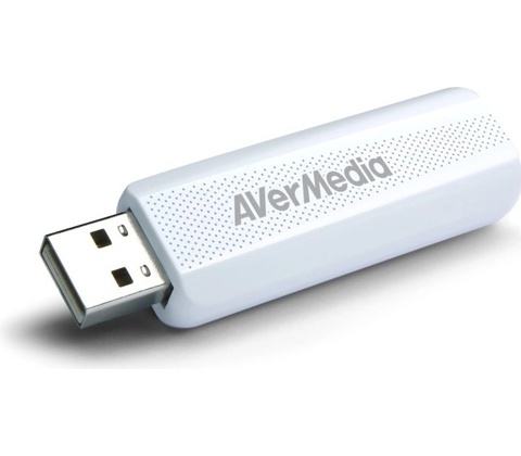 AverMedia TD310