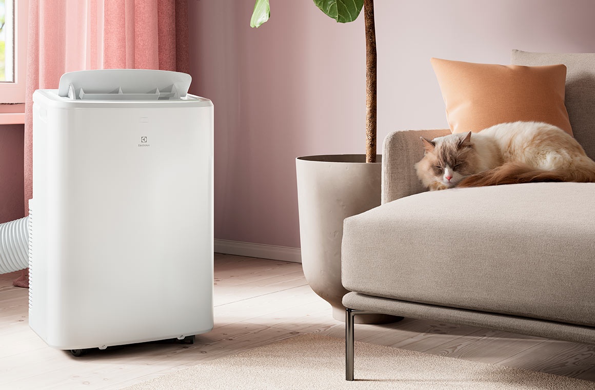 Zapnutá klimatizace Electrolux vedle spící kočky