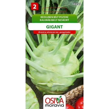 Kedluben bílý pozdní Gigant Seva Seed 0,8 g