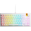 Glorious PC Gaming Race GMMK 3 HE RGB 75 Prebuilt Fox Switch (GLO-KB-GMMK3-75-PB-HE-W-WHT-US)