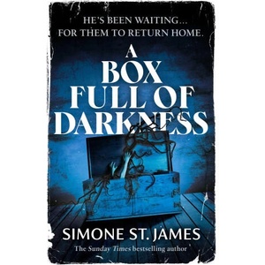 A Box Full of Darkness (ISBN: 9780241793749)