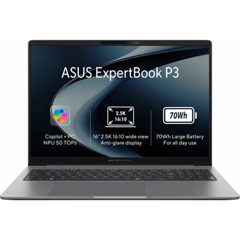 Asus ExpertBook P3 PM3606CKA-PLR732X