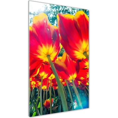 Vertikálny foto obraz sklo tvrdené Červené tulipány 50x100 cm