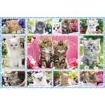 Schmidt Spiele - Puzzle Kittens 100 - 100 piese