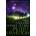 Second Chance at Eden | Peter F. Hamilton