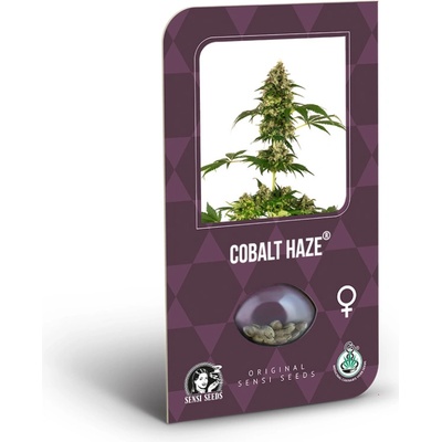 Sensi Seeds Cobalt Haze semienka neobsahujú THC 3 ks