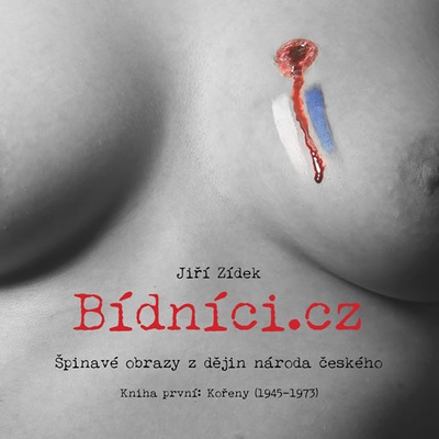 BÍDNÍCI.CZ