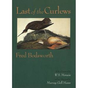 Last of the Curlews | Fred Bodsworth (ISBN: 9781582437354)