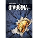 Divočina