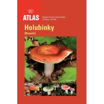 Holubinky