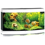 JUWEL Аквариум JUWEL Vision 260 LED - бял (8026)