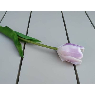 Topgifts Bledo-fialový tulipán CV07587 pogumovaný