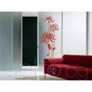 Image 1 of Хризантеми (3044)