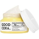 Pleťové krémy Holika Holika Skin & Good Cera super Cream 60 ml