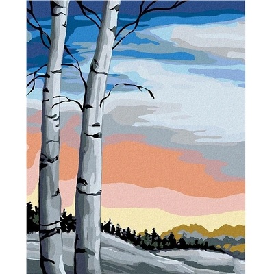 zuty Malování podle čísel Břízy 80 x 100 cm vypnuté plátno na rám