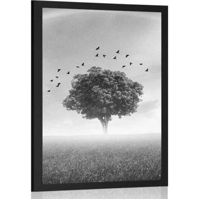 Plakát osamělý strom na louce v černobílém provedení - 40x60 white