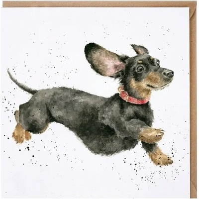 Přání Wrendale Designs "That Friday Feeling", 15x15 cm - Pes, jezevčík