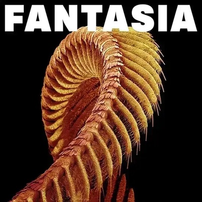Slift - Fantasia (Sparkle Starlight Coloured) 2 LP