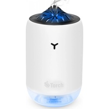 Torch 210098