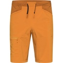 Haglöfs ROC Lite Standard shorts Men