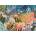 Ravensburger - Puzzle Ocean Whimsy - 500 piese