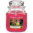 Yankee Candle Tropical Jungle 623 g