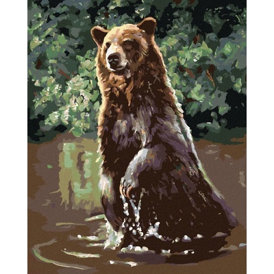 zuty Malování Podle Čísel Medvěd Ve Vodě D. Rusty Rust 40 x 50 Cm Plátno