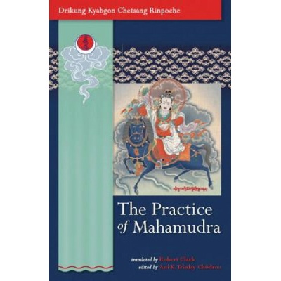 Practice Of Mahamudra (Drikung Kyabgon Chetsang Rinpoche)(Brožovaná)