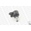 MOZ-L38509