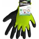 Bradas LEMON